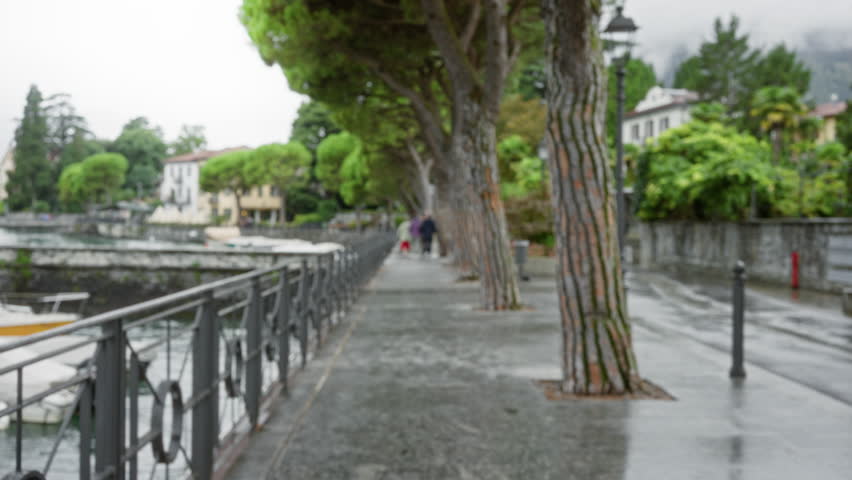Lakeside promenade in soft defocused bokeh featuring tree trunks, railing and wet pavement street; background backplate copyspace calm.
