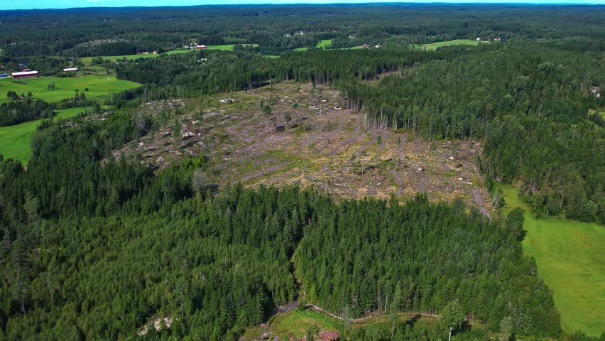 Grinås Kalhyggen, Munkedal, Sweden - A Wide Clearing sits in the Middle of a Dense Forest, Showing a Large Area of Cut Trees Surrounded by Green Fields and Woodlands - Aerial Drone Shot