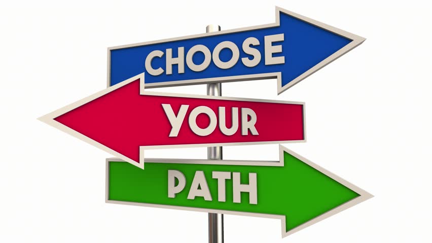 Choose Your Path Best Way Forward Choice Future Arrow Signs 3d Animation