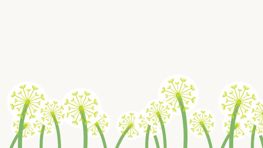 A meadow of soft dandelions spreads across the frame, their gentle silhouettes swaying lightly as they capture the soothing harmony of open fields and quiet grassy landscapes