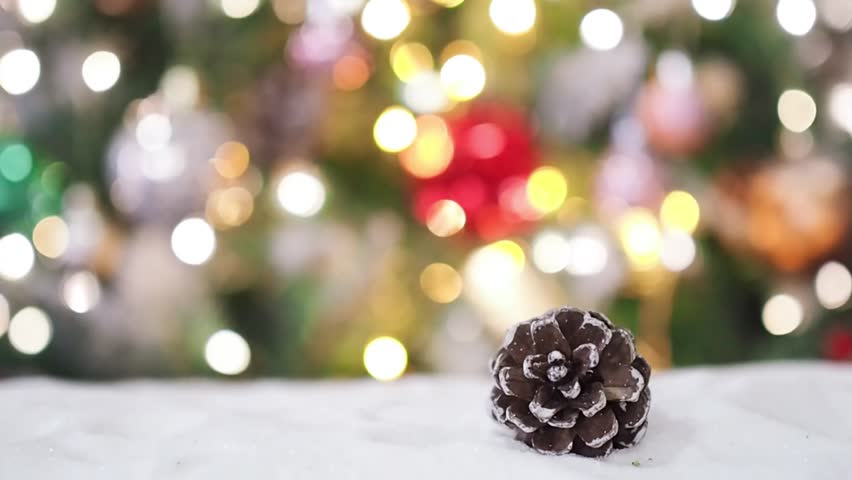 Close-up of pine cones with Christmas light background