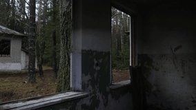 Dark Peeling Wall Room With Window, View Into Pine Forest Through Open Frame, Flaking Paint, Damp Sill, Moss Creeping Inside, Faint Graffiti Marks, Scattered Debris And Muted Daylight - Powered by Shutterstock - Get 15% off with code: PIKWIZARD15