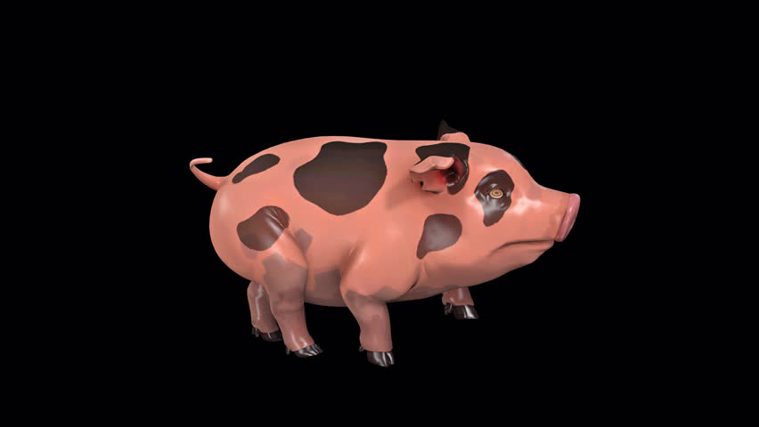 toon character pig walk idle