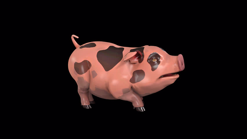 toon character pig agitated idle