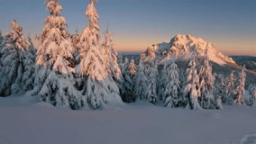 Panorama of Sunrise in Colorful Winter Mountain with Fresh Snow and Snowy Forest - Powered by Shutterstock - Get 15% off with code: PIKWIZARD15
