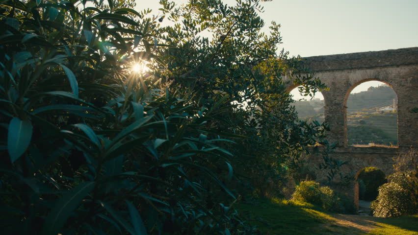 Sunlight breaks through dense leaves in the foreground, casting a warm glow on a historic aqueduct set against terraced hills.