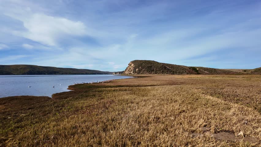 Time-Lapse of Shorebirds and Clouds Over Point Reyes Lagoon