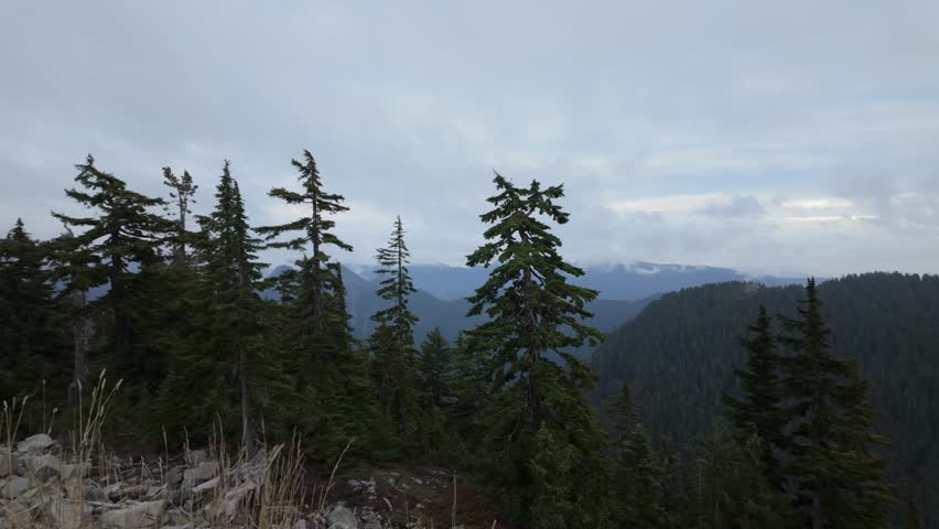 Gimbal wide panning shot of rugged wilderness from the summit of Grouse Mountain during autumn in North Vancouver, British Columbia, Canada. 4K