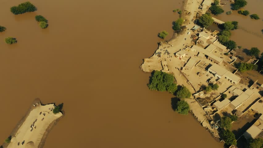 Top-down aerial drone shot tilting up over isolated houses on a dry patch of land, completely surrounded by deep brown murky floodwater with tree tops sticking out during an intense sunny day.
