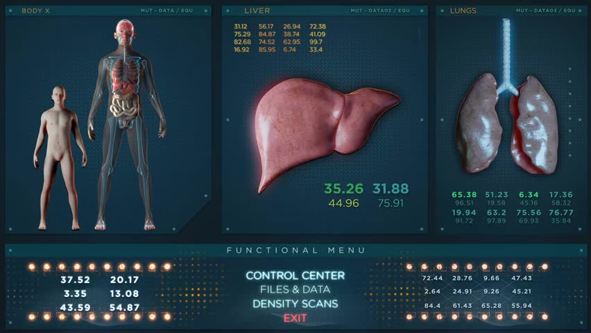 Futuristic 3D X-ray HUD animation showing male brain, lungs, and liver, highlighting anatomy and medical visualization with digital scan effects.