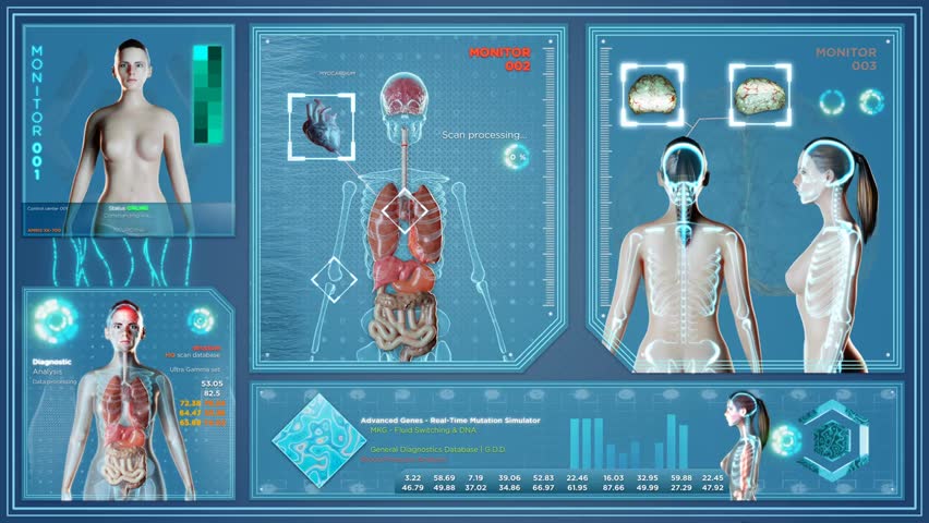 3D holographic X-ray scan of a female body, showing skeleton, internal organs, and brain in a futuristic HUD animation for medical and scientific visualization.