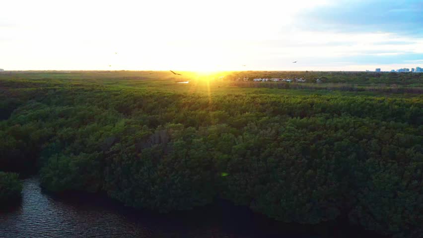 The sun drops toward the horizon as golden light washes over the mangrove canopy and quiet wetlands of Matheson Hammock Park, forming a serene tropical scene along Miami’s Biscayne Bay.