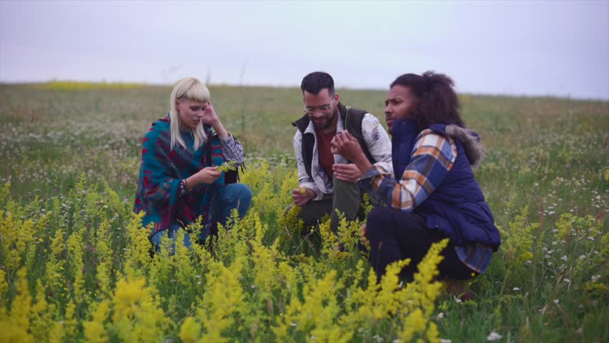 Three multicultural friends are crouching together in a beautiful green meadow, examining yellow wildflowers, talking, and smiling while enjoying a day out in nature and exploring the local flora