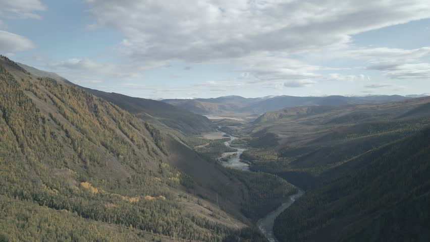 High-altitude drone dolly-out shot reveals a vast Altai valley with a rushing river, canyon, and colorful autumn forest. Raw, ungraded footage captures the epic landscape with distant yellow fields.