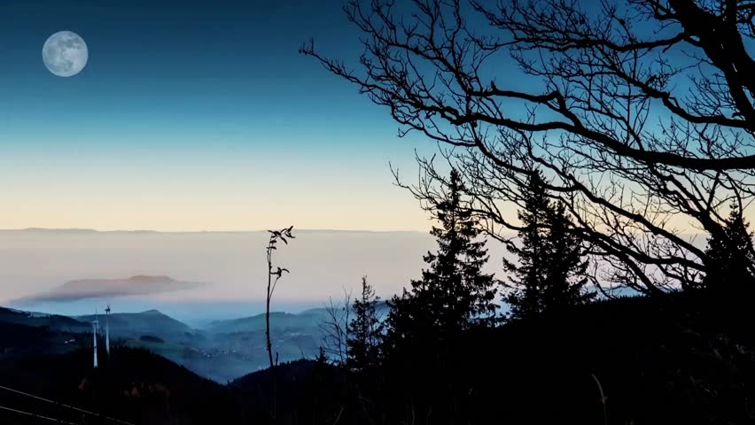 Serene nighttime landscape with a full moon, fog-covered valley, and silhouetted trees.