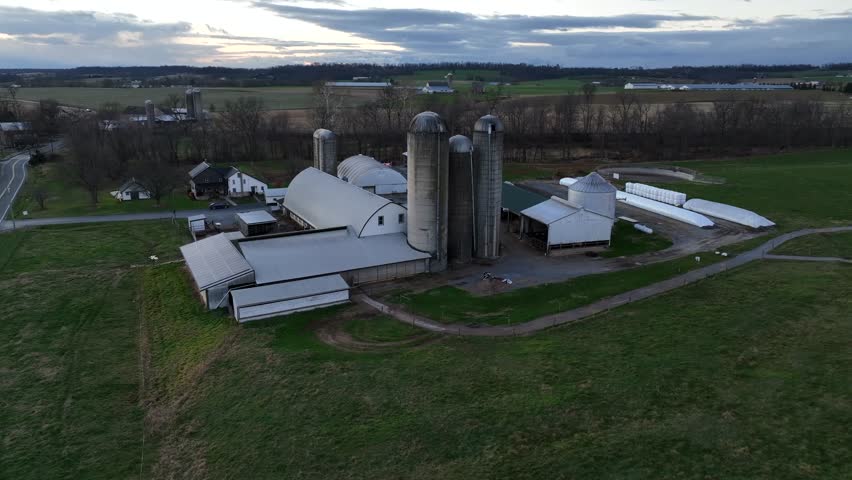 Residential America farm property with large white barns, multiple concrete silos, green open fields and rural neighborhood architecture under cloudy late-autumn sky, US, Pennsylvania, aerial.