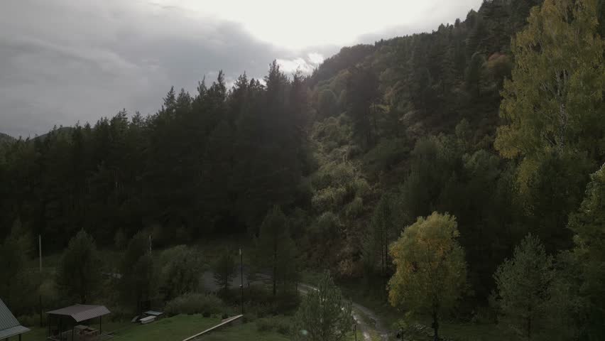 Apple garden, farm. Aerial drone view.