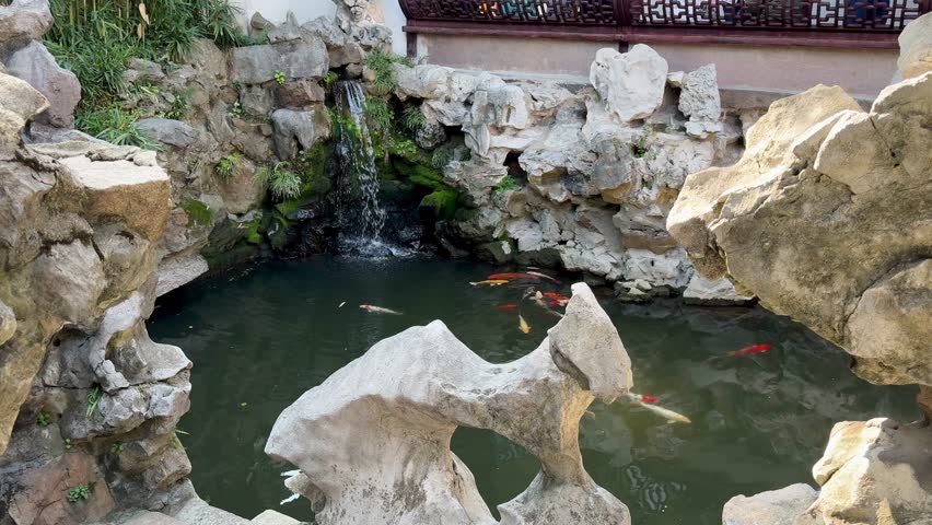 Orange koi swim beneath rocks in a shaded garden pond.
