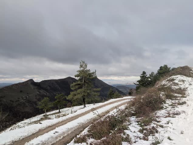 Fir tree along a mountain dirt road with snow