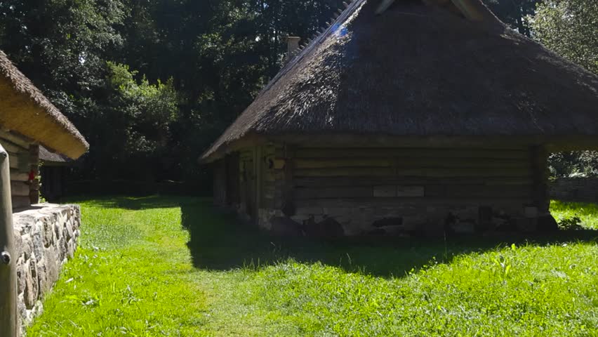 Gorgeous old and traditional log buildings with thatched roof in the middle of a countryside sunny forest during summer day. Grassy green garden around them, sun rays and lense flare visible.
