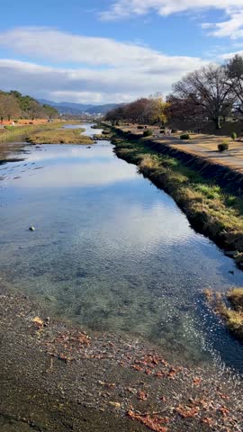 Kamogawa River, Kyoto, blue sky and white clouds on a winter day in Japan; Vertical; Video