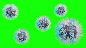 Floating virus cells on green screen. 3d viral particles rotating. microscopic virus animation isolated. 3d animation of pathogen particles - Powered by Shutterstock - Get 15% off with code: PIKWIZARD15