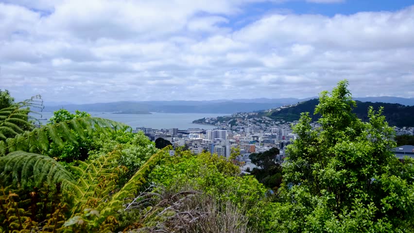 Glimpse capital city of Wellington, New Zealand Aotearoa through forest trees with views of harbour water