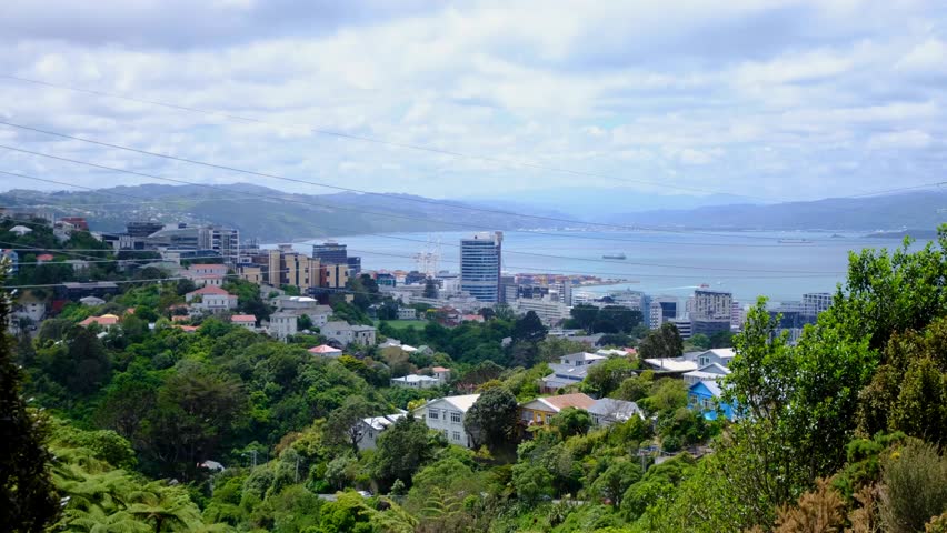 Elevated view capital city Wellington in New Zealand Aotearoa with green forest trees, houses, and high rise office buildings overlooking harbour water