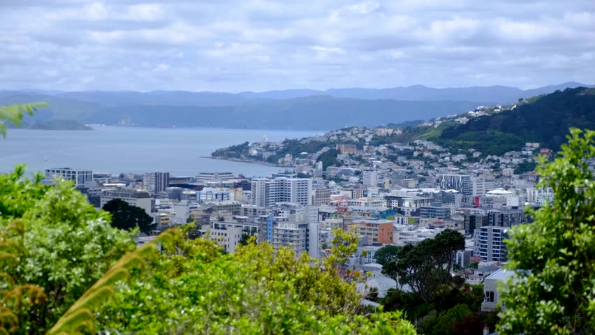 Aerial cityscape view Wellington in New Zealand Aotearoa with high rise skyscraper office buildings and houses on hills overlooking harbour
