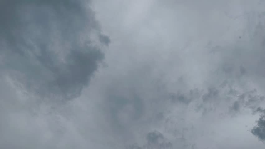 The sky was cloudy with rain, adorned with birdsong.