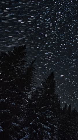Vertical star trails timelapse above calm snowy winter forest and dark night sky in mountains
