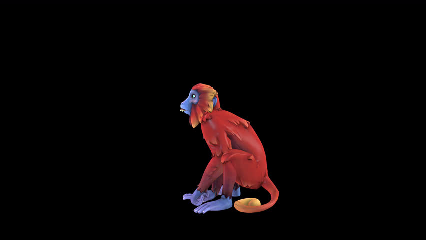 toon character monkey dance idle