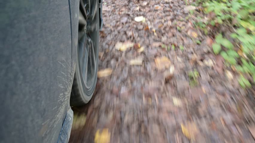 Close-up dynamic shot of a car wheel driving over a forest dirt road, with motion blur, mud splashes, rustling leaves and tire noise creating an immersive off-road perspective
