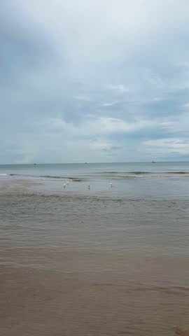 Rain clouds over sea, sunset