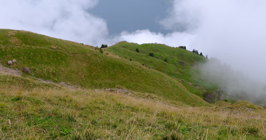 alpine meadows on Mount Rigi summit with mist