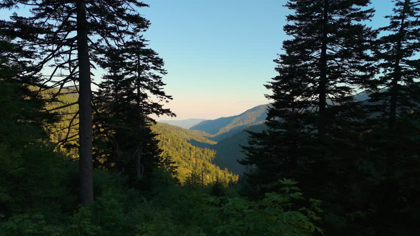 Nature landscape of Tennessee Appalachian mountains. Mountain forest with green canopies in summer season.