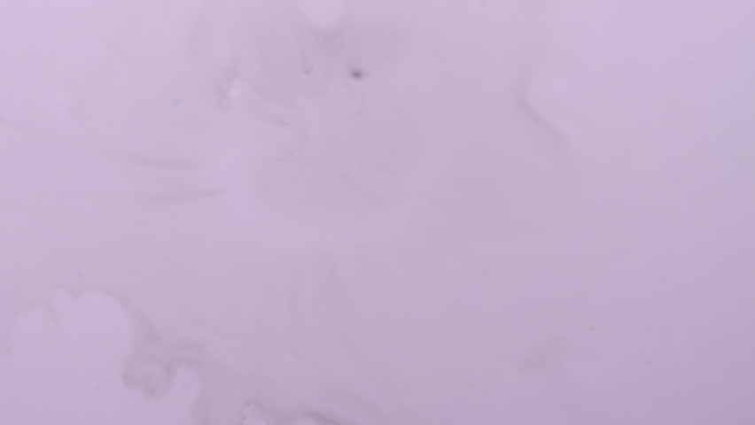 Paint spatter. Fluid spill. Defocused purple white color chemical texture pigment water drop spreading on abstract art background.