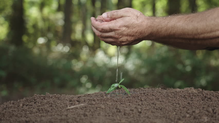 Gardening scene with fertile earth. Human hands touching rich soil. Environmental care with soil closeup. Hands working with cultivated land. Organic soil in male hands.
