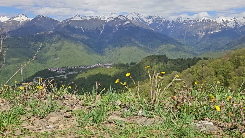 Mountain range with a valley in between. The valley is filled with yellow flowers. The mountains are covered in snow