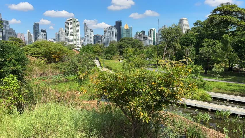 Bangkok Skyscrapers Skyline View from Benchakitti Park – City Buildings Behind Lake and Green Nature, Central Bangkok Thailand, Southeast Asia Urban Landscape Video