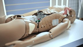 Medical training mannequin showing internal systems for student education and simulation - Powered by Shutterstock - Get 15% off with code: PIKWIZARD15