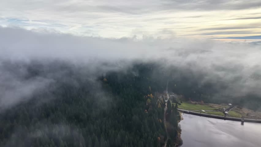 thick fog envelops river valley, silky morning mist drifts over river basin and towering pine ridges
