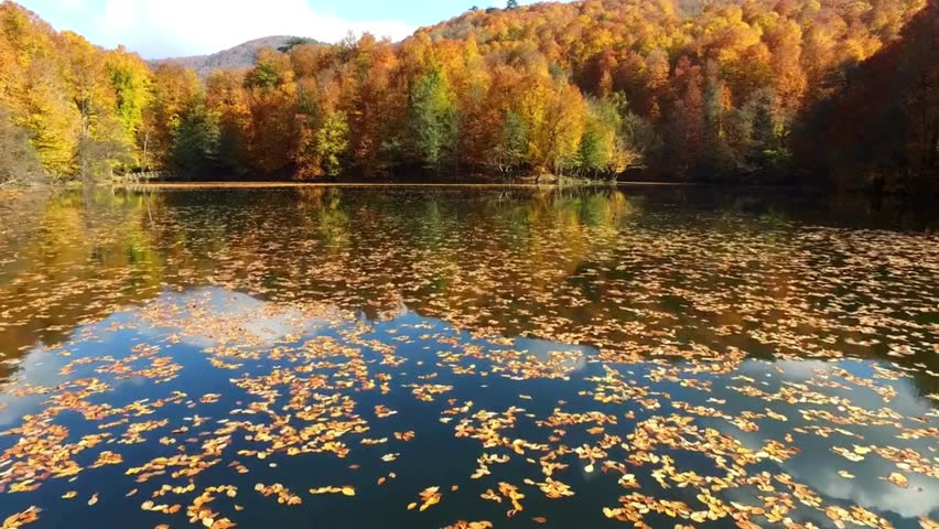 Aerial view of autumn landscape,river reflection and colorfull trees