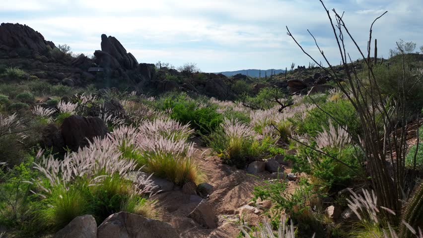 Aerial view of Four Peaks Wilderness, United States.