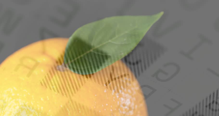 Gray overlay appearing, starting HUD arc rotating, stamps flipping, map fading over orange for data. Citrus, leaf, macro, closeup, texture, pattern, studio