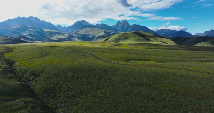 Beautiful green grassland and snow capped mountain in Litang county, China