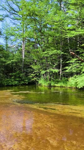 A clear summer landscape of Dakezawa Pond and Mt. Hotaka in Kamikochi, Japan