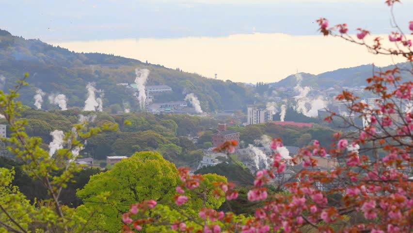 Steam from the hot spring and peony cherry blossoms