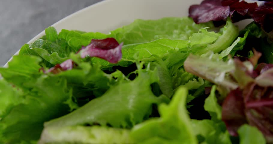 HUD fading in starting numbers and waveform over salad bowl, camera revealing fork for analysis. Greens, lettuce, purple, leaves, ceramic, dishware, kitchen