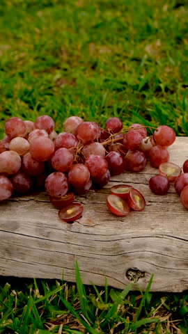 Grape seed extract in the garden. Selective focus.